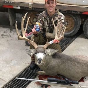 Meet your Posher, Sean